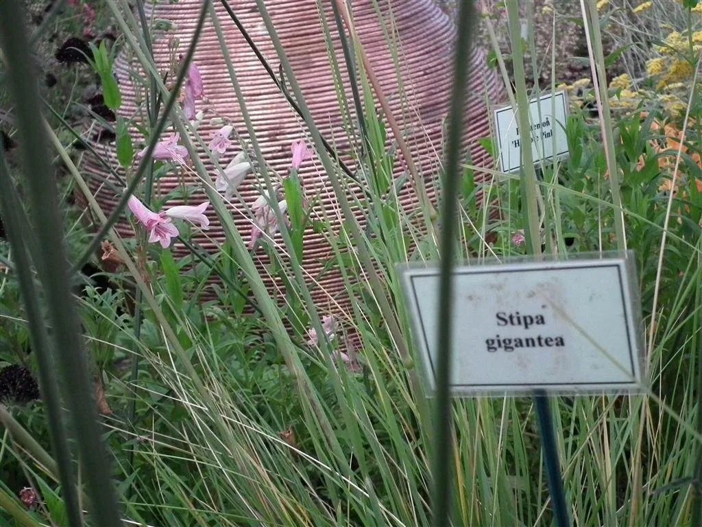 Floral marquee in the long water area 62